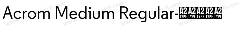 Acrom Medium Regular字体转换